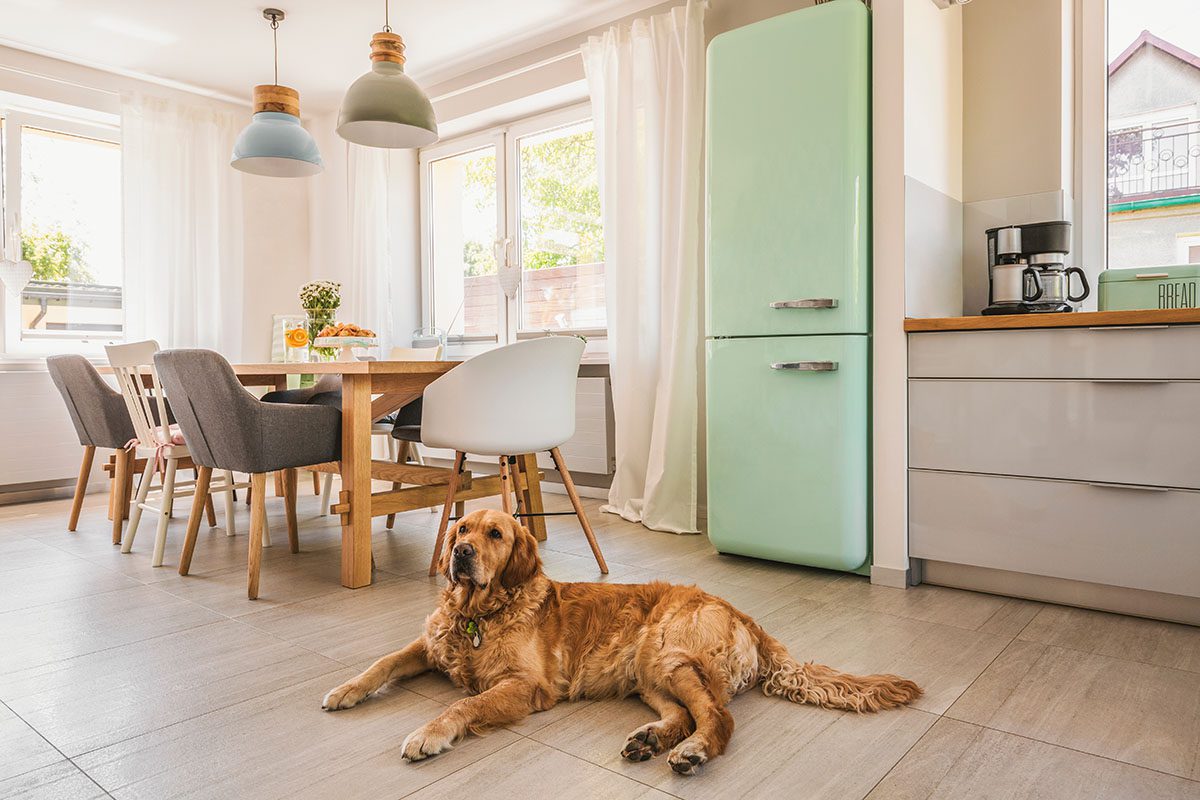 Fall 2021 Kitchen Renovations